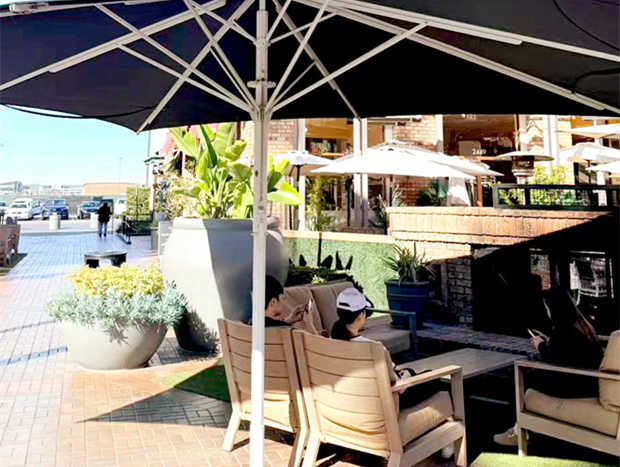 去洛杉矶生子期间值得打卡的景点
